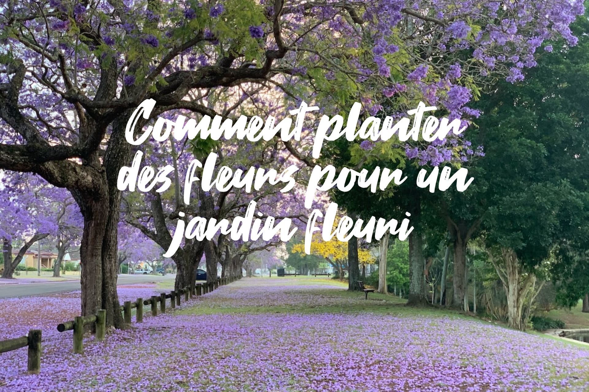 You are currently viewing Comment planter des fleurs pour un jardin fleuri?
